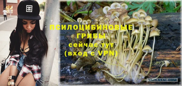 прущая мука Лиски
