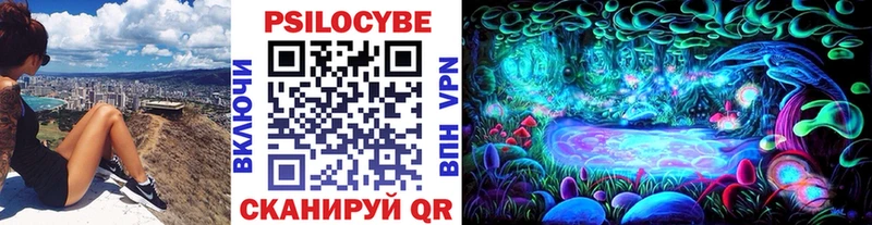 Галлюциногенные грибы MAGIC MUSHROOMS  купить наркоту  Спасск-Рязанский 